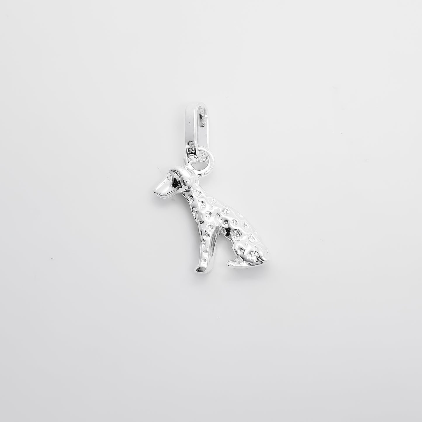 Dije Perro Dalmata