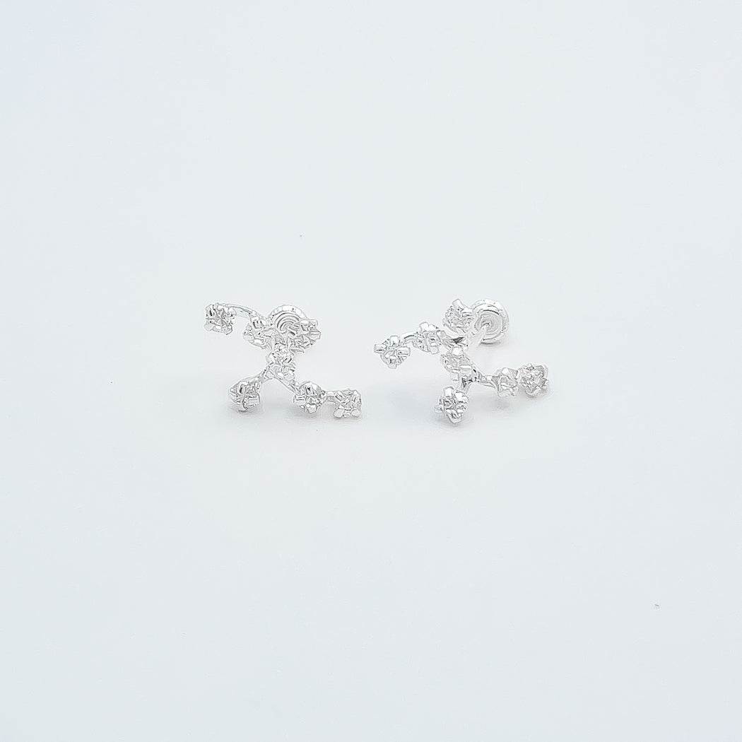 Broquel Zirconia