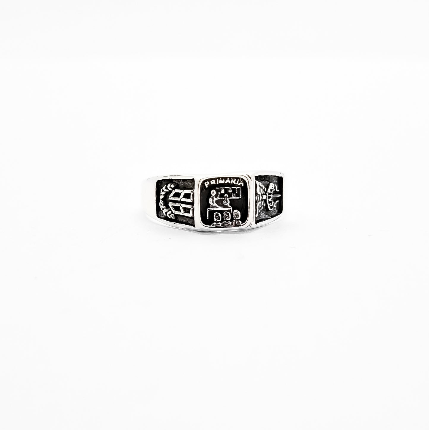 Anillo Primaria