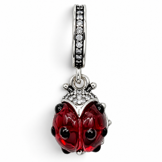 Charm Catarina Plata Ley 925