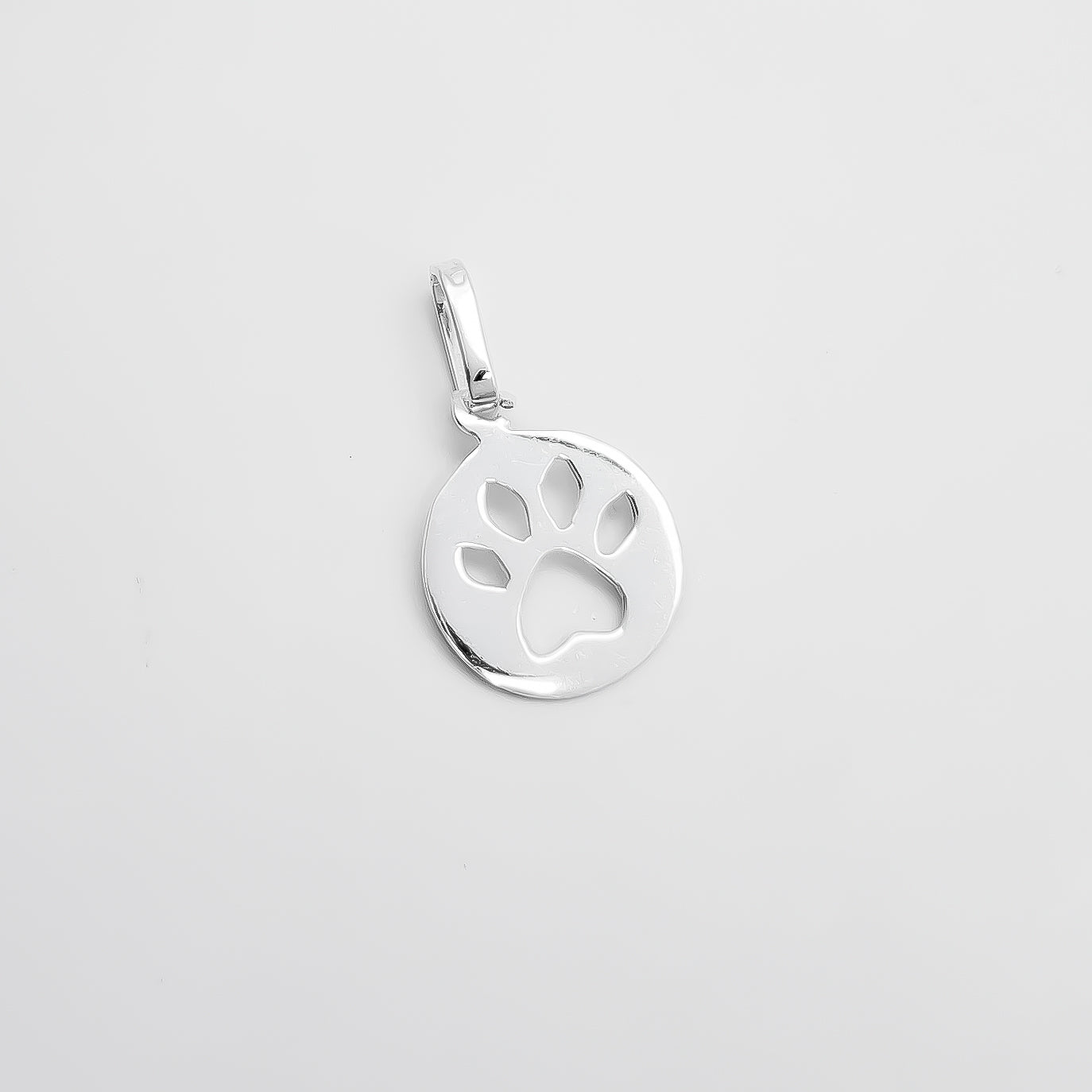 Dije Huella Circulo Perro