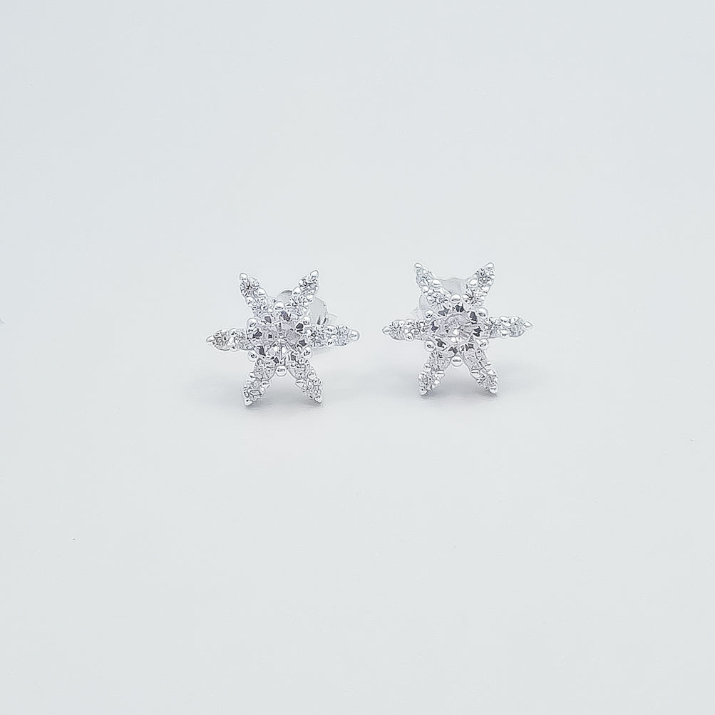 Arete Zirconia