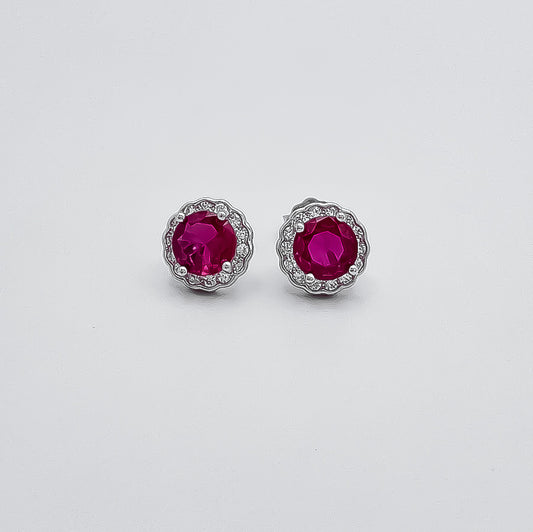 Arete Circulo Fiusha.