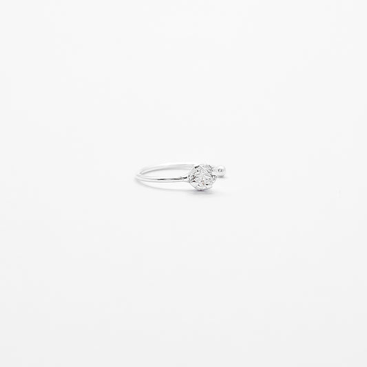 Pearcing Aro Zirconia