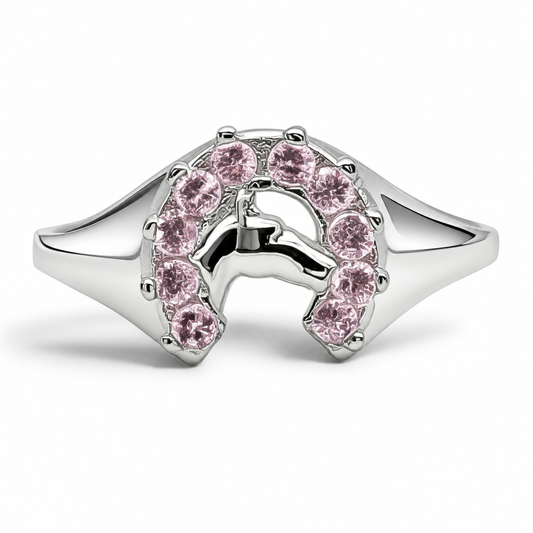 Anillo Herradura Rosa Plata Ley 925