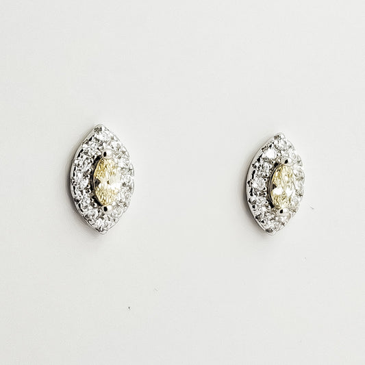 Arete Semilla Zirconia