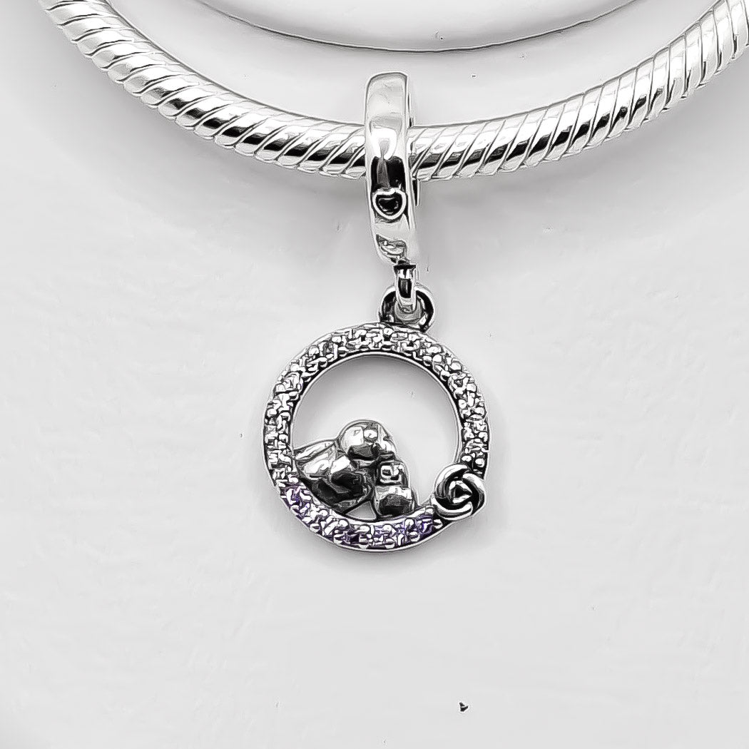 Charm Pajaros