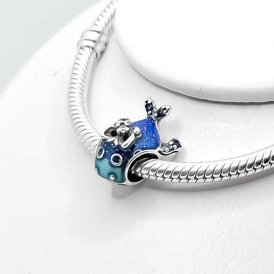 Charm Ballena