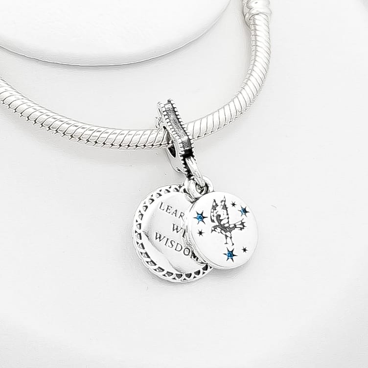Charm Harry Potter
