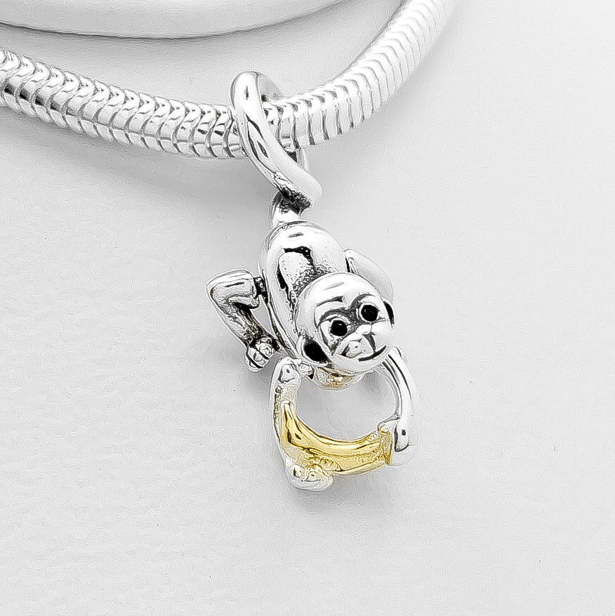 Charm Monito