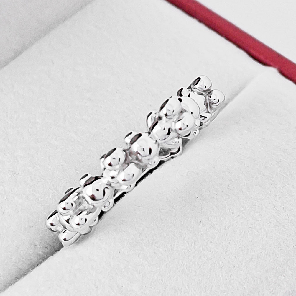 Anillo Osos