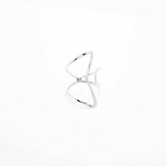 Anillo Liso