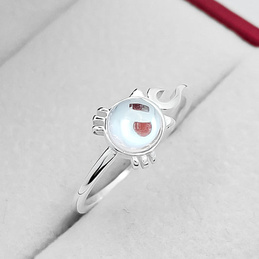 Anillo Gato