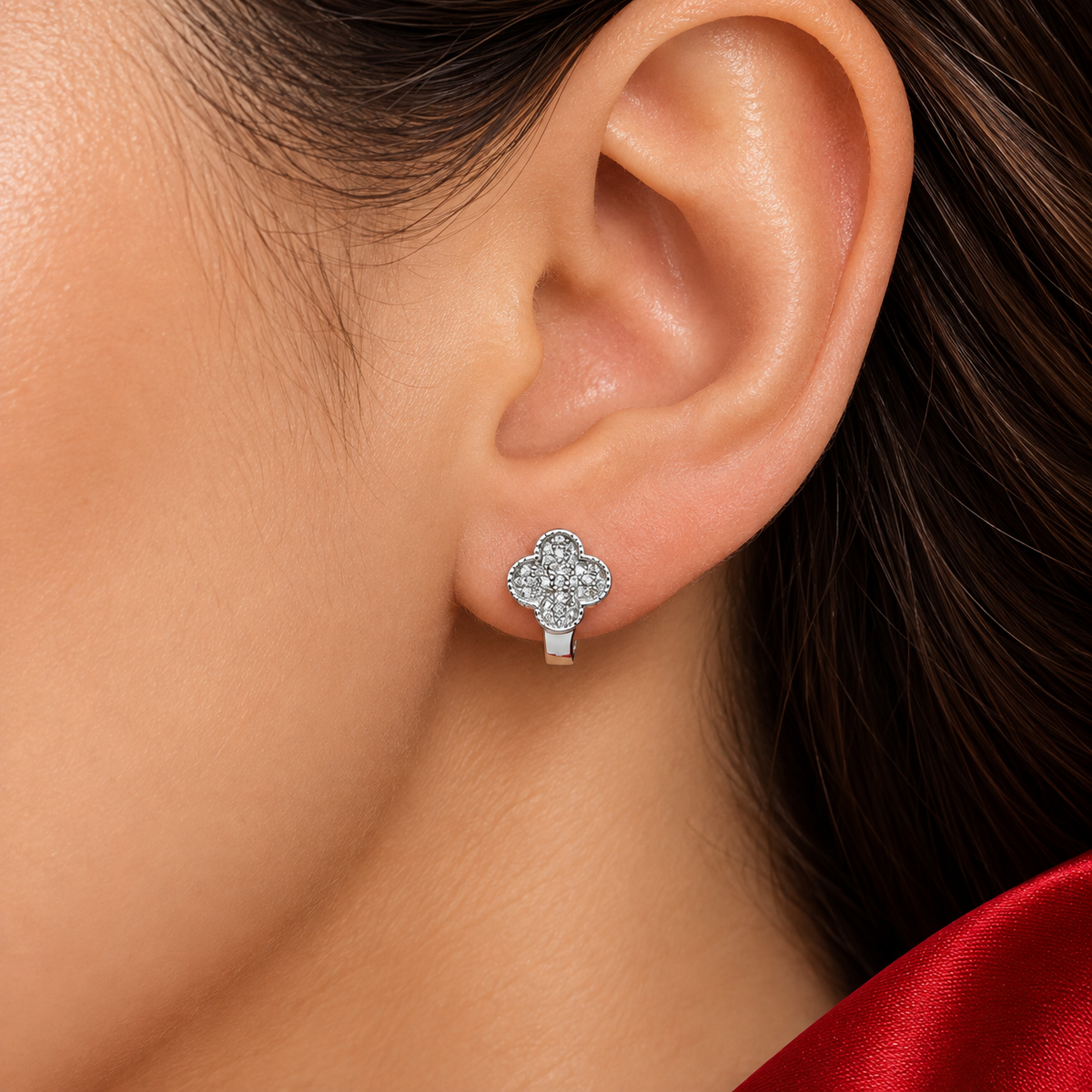 Hugguie Van Zirconia Plata Ley 925