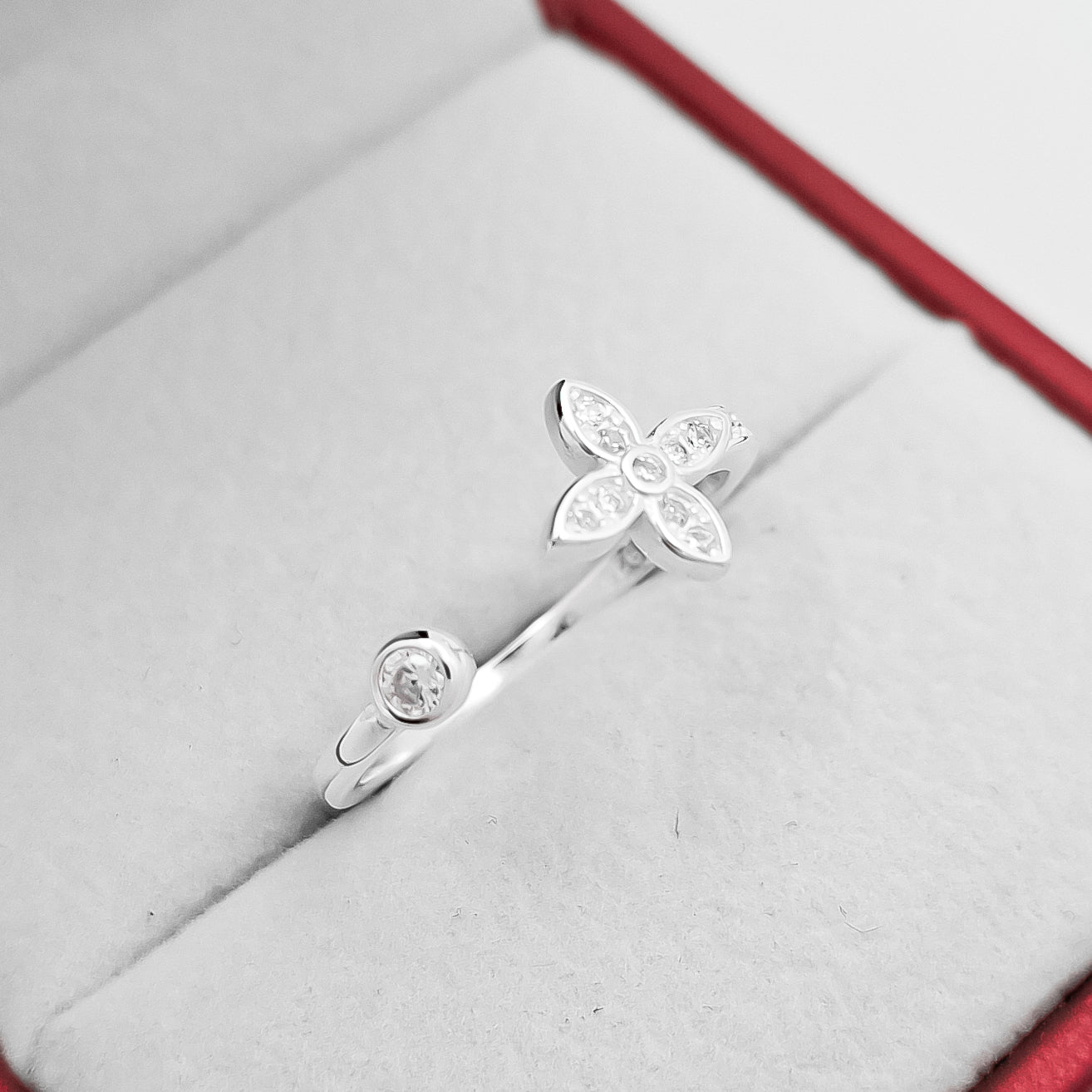 Anillo Ajustable LV