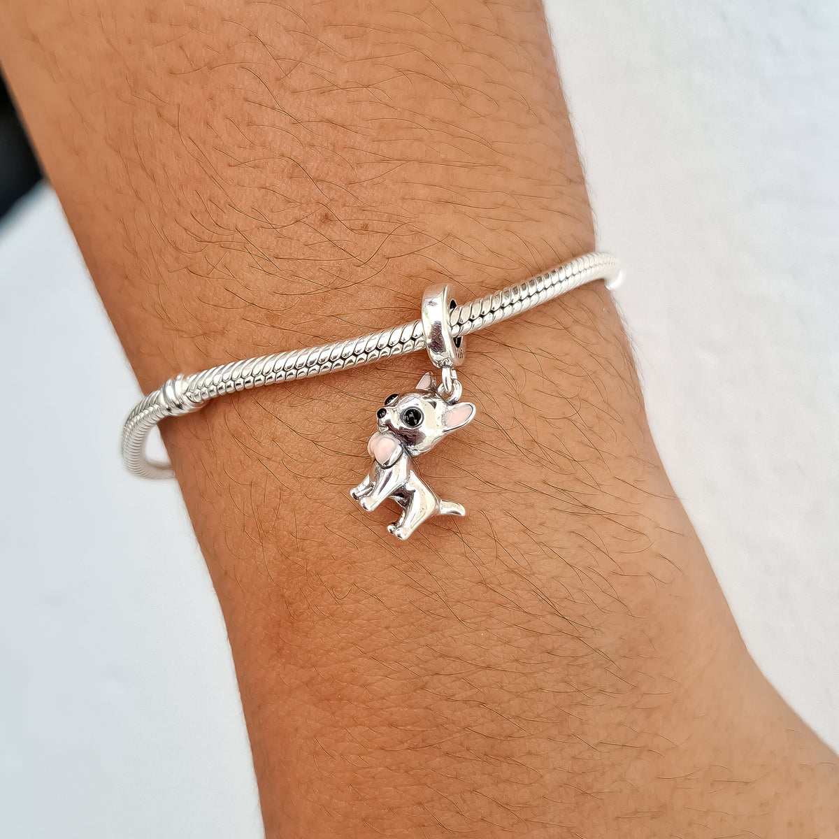 Charm Chihuahua Plata Ley 925