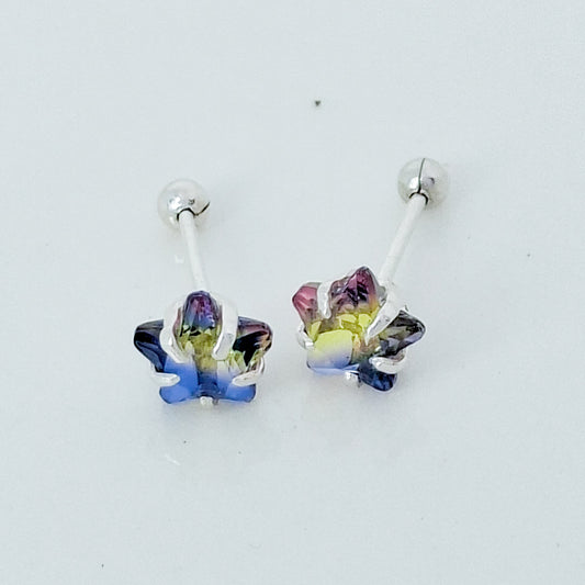 Broquel Estrella Multicolor