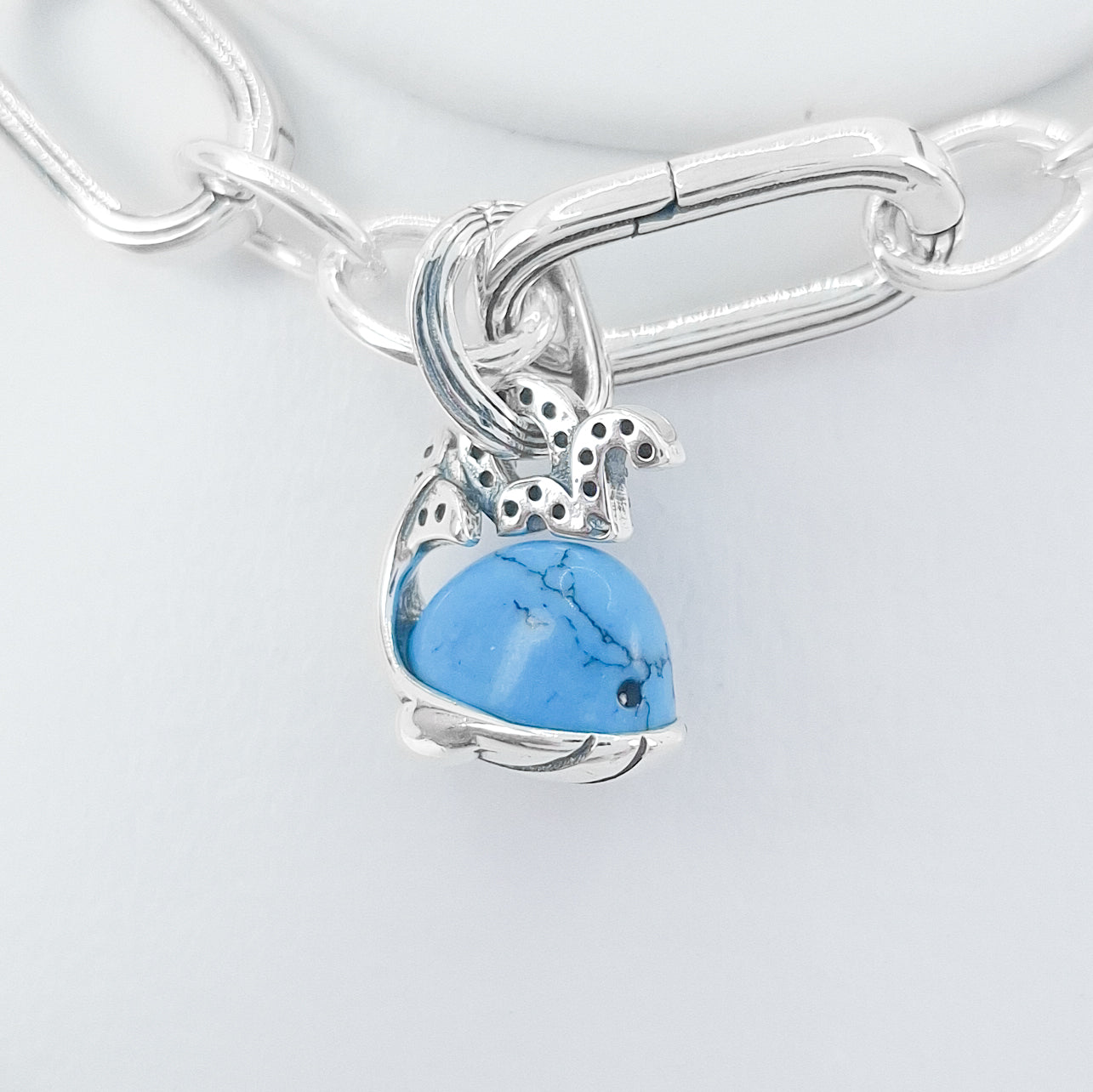 Charm Ballena
